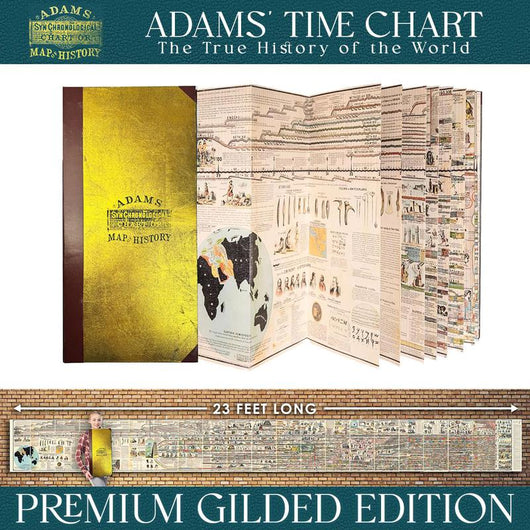 Olera™ Golden Timeline
